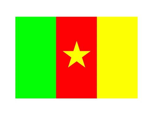 Kamerun flaga