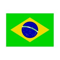 FBRA01: Brazylia - flaga